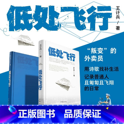 [正版]低处飞行 现象级网红诗人王计兵 海量报道 2600多万人阅读 “叛变”的外卖员用诗歌找补生活 记录普通人且匍匐