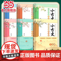 正版 小古文分级阅读天天练 小学生一二三四五六年级一百课小学语文基础知识1-6年级国学经典古诗词大全阅读理解同步古诗词
