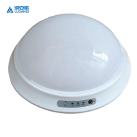 洛安斯 应急吸顶灯 18W 个