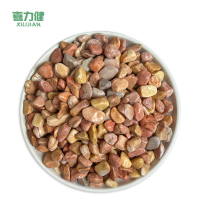 喜力健 黄色砾石 0.3CM*0.5CM 袋