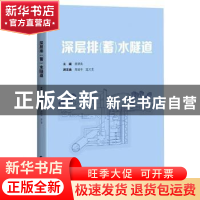 正版 深层排<蓄>水隧道 周质炎,高陆令,孟元龙 上海科学技术出版