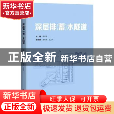 正版 深层排<蓄>水隧道 周质炎,高陆令,孟元龙 上海科学技术出版