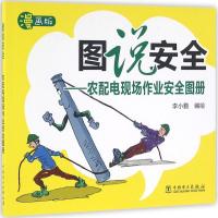 正版新书]图说安全(漫画版)(农配电现场作业安全图册)李小勤