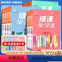 七年级全套[语数英政史地生] 七年级下 [正版]2024 倍速学习法七八九年级下册语文数学英语物理化学政治历史地理生物人