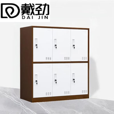 戴劲物柜多门更衣柜带锁工具柜教室学生书包柜多格子收纳柜 咖白六门