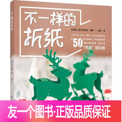 【友一个正版】不一样的折纸//中小学生手工艺折纸纸艺入门书籍