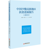 音像中国少数民族地区扶贫进展报告(2019)张丽君 等