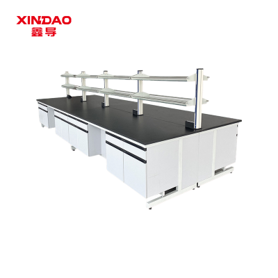 鑫导 实验室工作台 SYT1-钢木中央台定制 米