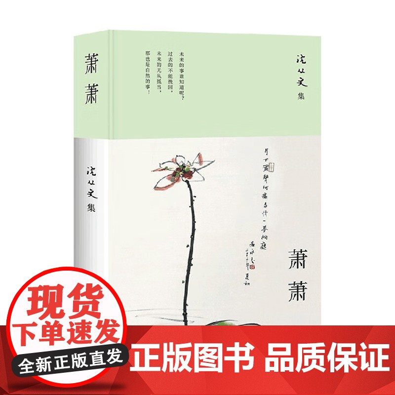 沈从文集 萧萧 沈从文 著 小说