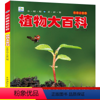 植物大百科 [正版]书店大百科(彩图注音版)小眼睛看世界全套中国儿童趣味科普知识dk幼儿认知小学生一二年级课外书海洋