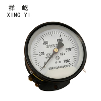 祥屹 双针双管压力表 YYS-JY-100Z 24V轴向 台