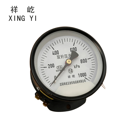 祥屹 双针双管压力表 YYS-JY-100Z 24V轴向 台