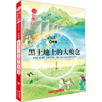 音像亮亮晶晶 黑土地上的大粮仓 东北卷阎耀明