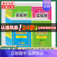 ★★★语文[人教版]+数学[苏教版]+英语[译林版] 六年级下 [正版]2024秋 实验班提优训练 一年级上下册二三四五