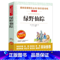 [正版]三年级下册青少年名著丛书 绿野仙踪 小学生课外书籍 儿童读物语文故事书 低年级经典世界名著阅读训练