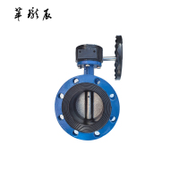 萃珑辰 法兰软密封蝶阀 D341X-16Q DN300 个