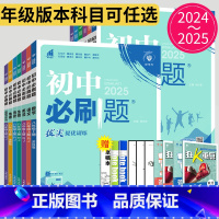 数学 人教版 九年级上 [正版]2025初中必刷题七年级八年级九年级下册上册数学英语物理化学生物历史道德与法治地理苏