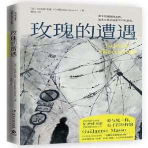 [N]玫瑰的遭遇-9787540494933