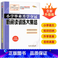 [正版]2024新版 小学语文升学夺冠新阅读训练大集结 小考基础知识运用文学常识训练课外阅读辅导书小升初考试辅导毕业升学
