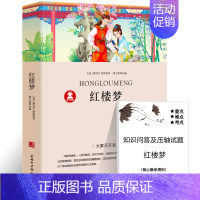 红楼梦 [正版]秘密花园书籍经典名著小学生四年级五年级的六年级儿童版课外书阅读4-5-6年级必读伯内特原著密密花园天津人