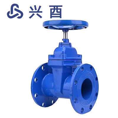 兴酉 法兰软密封暗杆闸阀 DN300 个