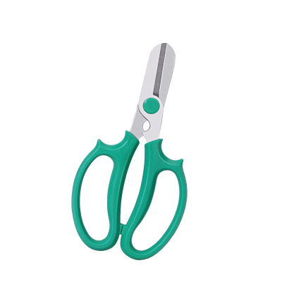 隆脉 园艺剪刀花剪修枝剪花艺剪子花艺师插花家用剪子鲜花修花修剪工具 个