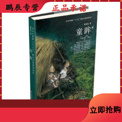 童眸9787558400469江苏凤凰少年儿童出版社黄蓓佳