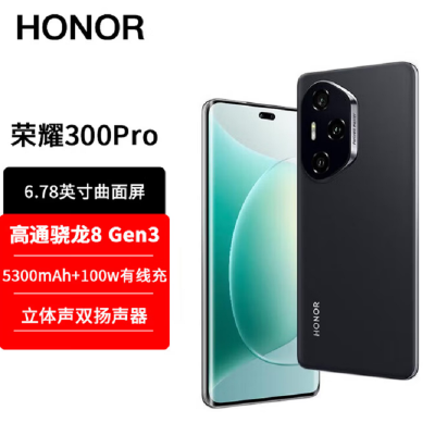荣耀300 Pro 墨岩黑 12GB+512GB 第三代骁龙8芯 5G 5300毫安青海湖电池 100W快充 拍照手机