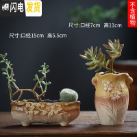 三维工匠可画画上色彩多肉小花盆陶瓷粗陶透气创意肉肉植物盆 红色图片款[2个装] 中等花盆容器