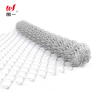 围一 热镀锌钢丝勾花网 WY-GSW可定制 平方米
