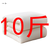 一卜棉花被A类新疆棉10斤/件