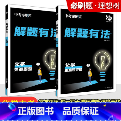 专项突破⭐⭐化学[关键模型+重难题突破]2本套 初中通用 [正版]2024新版中考合订本九年级下册上册语文数学英语物理化