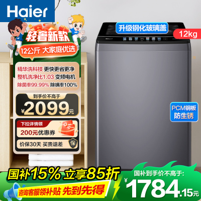 海尔(Haier) 12公斤 变频 全自动 波轮洗衣机 精华洗 除菌螨 玻璃盖 仿手搓 XQB120-BSE30L2