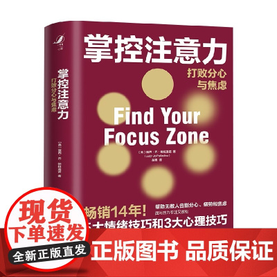 掌控注意力 打败分心与焦虑 露西 著 心理学