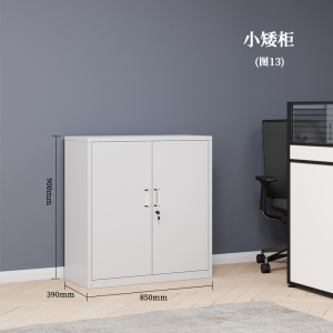 迅众 加厚小矮柜文件柜 办公柜文件柜铁皮柜带锁抽屉柜资料柜书柜财务凭证柜档案柜展示柜职工储物柜办公收纳柜