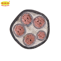 傻实在 电缆 国标全项保检 ZC-YJV 4*50mm²+1*25mm² 米