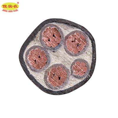 傻实在 电缆 国标全项保检 ZC-YJV 4*50mm²+1*25mm² 米