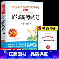 [单册]尼尔斯骑鹅旅行记 送考试重点 [正版]全套4册 鲁滨逊漂流记原着完整版六年级下册必读书目快乐读书吧课外书爱丽丝漫