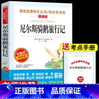 [单册]尼尔斯骑鹅旅行记 送考试重点 [正版]全套4册 鲁滨逊漂流记原着完整版六年级下册必读书目快乐读书吧课外书爱丽丝漫