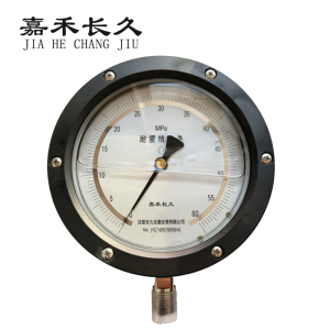 嘉禾长久+耐震抗震精密压力表检测定制型+YBN150 0.4级+块