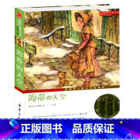 [正版] 海蒂的天空 国际大奖小说(升级版) 7-14岁阅读励志成长校园小说课外读物 书籍 小学生三年级四年级五六年级