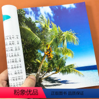 [正版]植物大全植物百科全书带注音 6-9-10-12岁儿童科普绘本故事书关于植物的书认识花卉水果植物大世界小学生一二