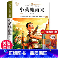 小英雄雨来 [正版]青铜葵花曹文轩完整版全套5册 宝葫芦的秘密四年级下册阅读课外书必 小英雄雨来巨人的花园海的女儿三四六