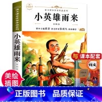 小英雄雨来 [正版]青铜葵花曹文轩完整版全套5册 宝葫芦的秘密四年级下册阅读课外书必 小英雄雨来巨人的花园海的女儿三四六