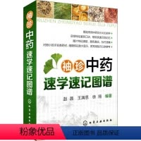 [正版]袖珍中药速学速记图谱