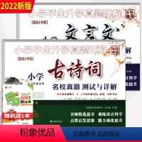 文言文+古诗词 小学升初中 [正版]小学毕业升学真题详解文言文古诗词小学生3-6六年级适用名校真题测试与详解全国版小升初