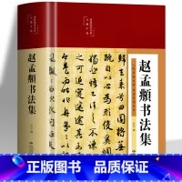 [正版]赵孟頫书法集 行楷书彩绘版字帖 书法初学者入门硬笔毛笔手写书法鉴赏国学经典临摹范本 国学经典行楷字帖字体书法