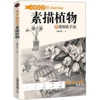 正版新书]从零起步学素描植物(视频跟学版)蓝博艺站9787113241