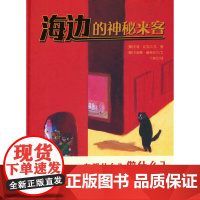 海边的神秘来客 万花筒世界精选图画书