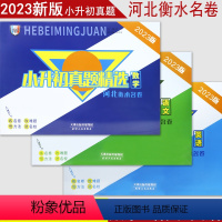 [语文+数学+英语] 小学升初中 [正版]2023河北专版小升初真题精选语文数学英语真题卷河北名校真题试卷小学毕业系统总